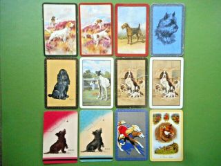 12 English Named Dogs Swap Cards.  3 All In Good - Order.  C 1940 - 50s