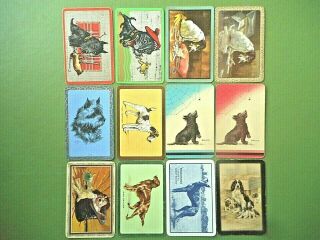 12 English Named Dogs Swap Cards.  2 All In Good - Order.  C 1940 - 50s