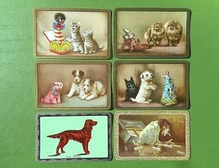 6 English Named Dogs Swap Cards.  All In Order.  C 1940 - 50s