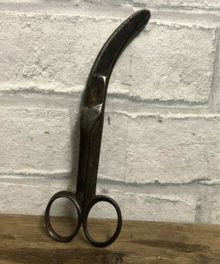 Vintage / Antique Leather Workers / Cobblers Scissors.