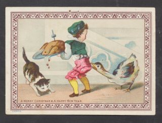 C7719 Victorian Goodall Xmas Card: Cat & Angry Goose