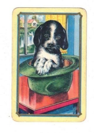 Swap Card Coles Un - Named Series Vintage - Cute Puppy In A Hat