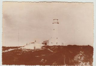 Lighthouse Rottnest Island Western Australia Murray Views Postcard