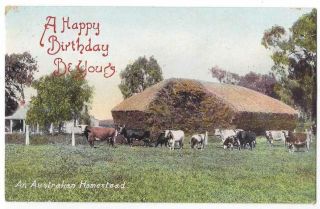 Old Postcard An Australian Homestead C.  1900 