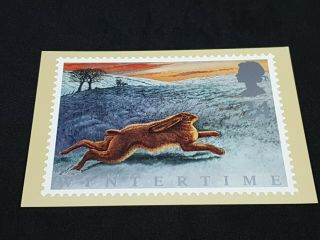 Wintertime (the Brown Hare) 1992 Royal Mail Stamp Postcard