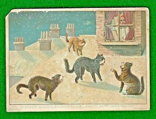 Victorian Xmas Card: 4 Cats On A Snowy Rooftop,  Glitter Enhanced.  S Hildesheimer