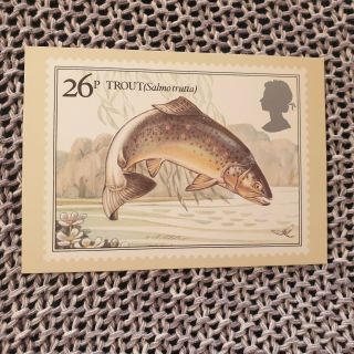 British River Fishes - Trout - Royal Mail Stamp Postcard