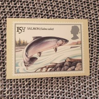 British River Fishes - Salmon - Royal Mail Stamp Postcard