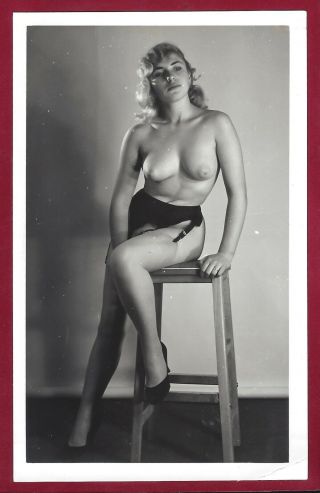 Vintage Nude Photo Perky Breasts Puffy Slopes Dark Nips Pinup Garter & Stockings