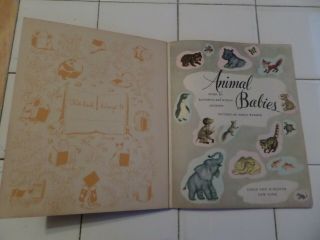 Animal Babies,  A Little Golden Book,  1947 (VINTAGE BROWN BINDING) 3