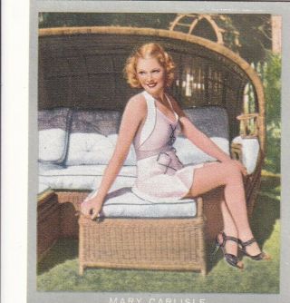Mary Carlisle - Monopol Hollywood " Film Artist " Pin - Up/cheesecake 1937 Cig Card