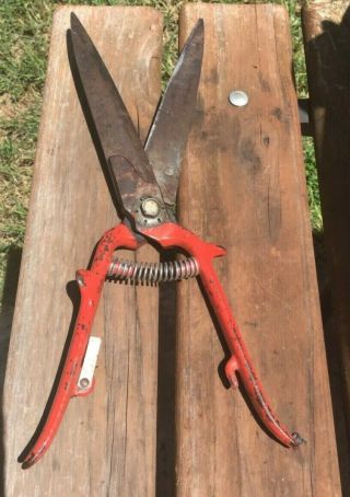 Antique/vintage Grass Clippers Shears Red