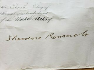President Theodore Roosevelt Boldly Hand Signed 1907 Presidential Appointment