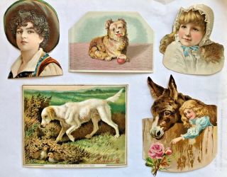 5 Antique Vintage Victorian Boy /girl Heads Donkey Dogs Cards Die Cut Scraps