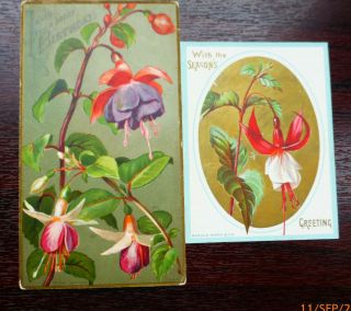 2 X Victorian Christmas & Birthday Greetings Cards Of Fuschias 1 X Rt & 1 X Mw