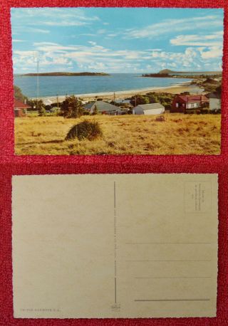 Vintage Australian Postcard.  Victor Harbour,  South Australia