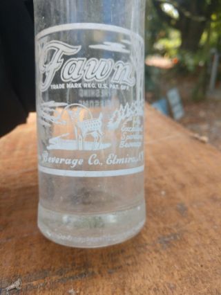 Fawn Beverages 6 Oz Glass Soda Pop Bottle Vtg Elmira,  Ny Rare Advertising Antique
