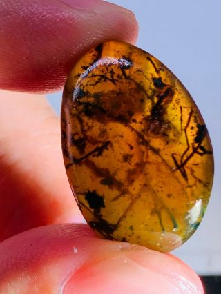2.  3g Plant&mineral Burmite Myanmar Burmese Amber Insect Fossil Dinosaur Age