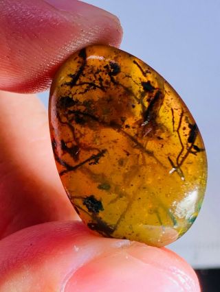2.  3g plant&mineral Burmite Myanmar Burmese Amber insect fossil dinosaur age 2