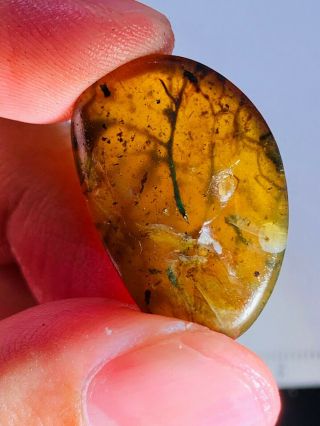 2.  3g plant&mineral Burmite Myanmar Burmese Amber insect fossil dinosaur age 3