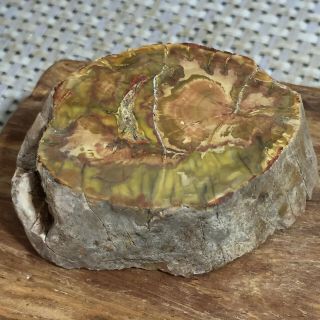 Polished Petrified Wood Crystal Slice Madagascar 81g A2817
