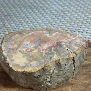 Polished Petrified Wood Crystal Slice Madagascar 81g a2817 3