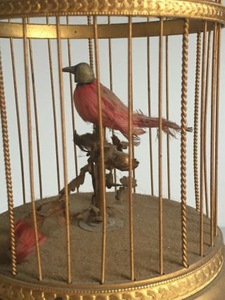 Antique French BONTEMS Singing Bird Cage Bird Automaton Music Box 3