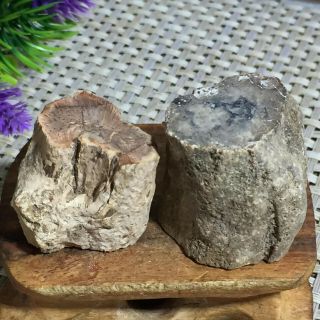 Polished Petrified Wood Crystal Slice Madagascar 63g A2712