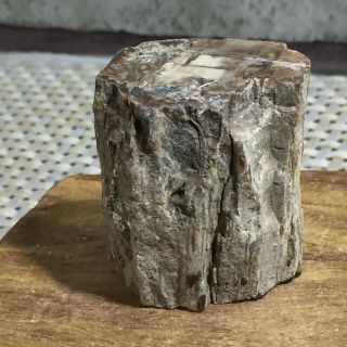 Polished Petrified Wood Crystal Slice Madagascar 56g A16