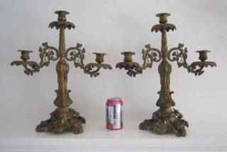 Antique Pair Cast Brass 3 - Light Candelabra Candlesticks Grapevine Art Nouveau