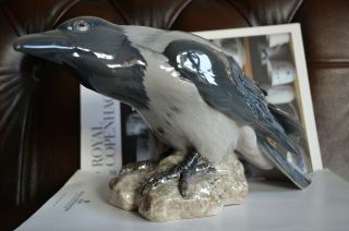 Rare Bing & Grondahl Crow 1714 Bird Figurine By Dahl Jensen Made In Denmark B&g
