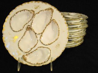 Set 8 Gilt Decorated Porcelain Oyster Plates Late 19th - Early 20th C