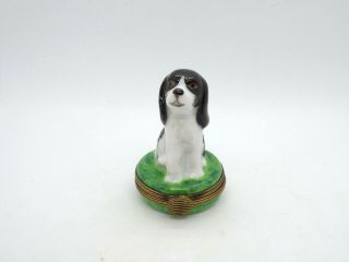Limoges France Peint Main Trinket Box Dog Spaniel Limited Edition 249/300
