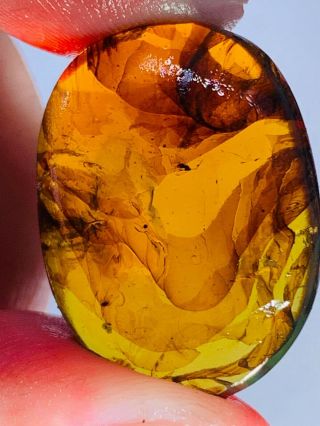 3.  23g Wasp Bee&mineral Burmite Myanmar Burmese Amber Insect Fossil Dinosaur Age