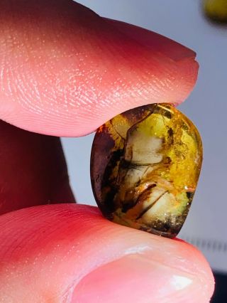 0.  78g unique mineral Burmite Myanmar Burmese Amber insect fossil dinosaur age 2