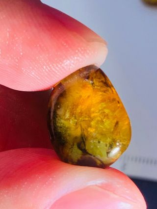0.  78g unique mineral Burmite Myanmar Burmese Amber insect fossil dinosaur age 3