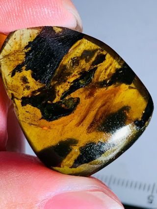 2.  32g plant&mineral Burmite Myanmar Burmese Amber insect fossil dinosaur age 2