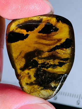 2.  32g plant&mineral Burmite Myanmar Burmese Amber insect fossil dinosaur age 3