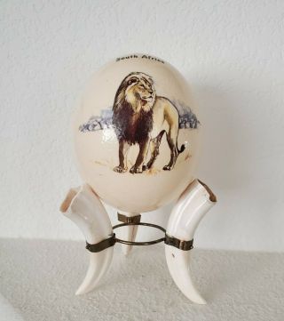 Painted Ostrich Egg With Warthog Tusk Stand South Africa