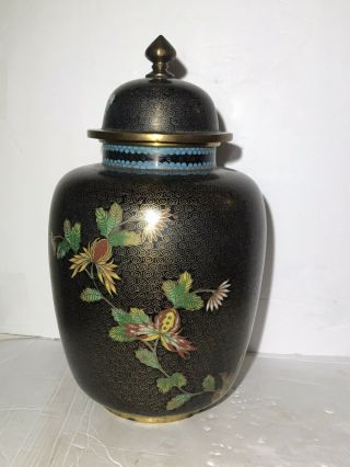 Antique Chinese Cloisonné Ginger Jar Marked China Late 19th Or Early 20th C