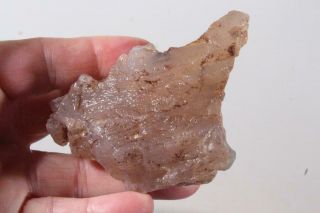 Oregon Fossil Agate Limb Cast 7.  4 oz rough 2