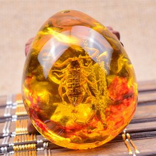 1pc Fashion Insect Stone Scorpions Inclusion Amber Baltic Pendant Necklace Gi Rt