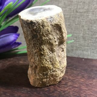 Polished Petrified Wood Crystal Slice Madagascar 54g A598