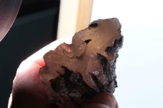 Oregon Fossil Agate Limb Cast 4.  8 oz rough 2