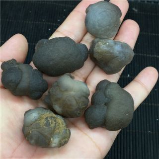 148g Bonsai Suiseki - Natural Gobi Agate Eyes Stone - Rare Stunning Viewing W781