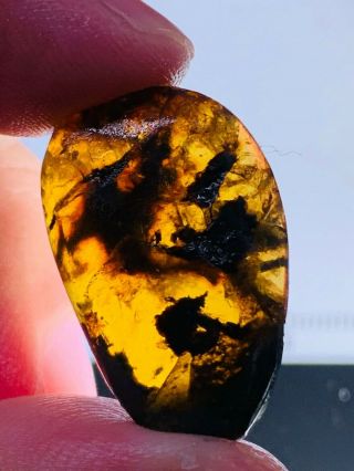 2.  2g Plant&mineral Burmite Myanmar Burmese Amber Insect Fossil Dinosaur Age