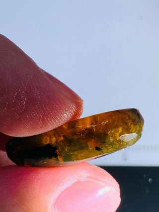 2.  2g plant&mineral Burmite Myanmar Burmese Amber insect fossil dinosaur age 3