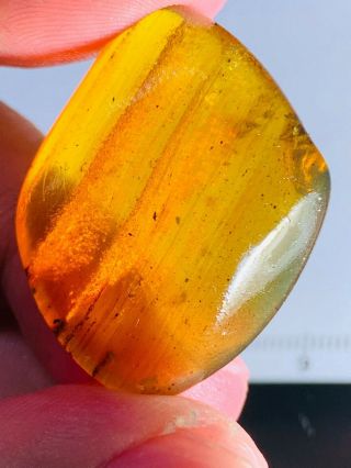 4.  25g beetle&sands&many bubbles Burmite Myanmar Amber insect fossil dinosaur age 3