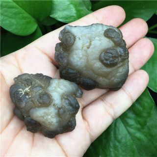 119g Bonsai Suiseki - Natural Gobi Agate Eyes Stone - Rare Stunning Viewing W749