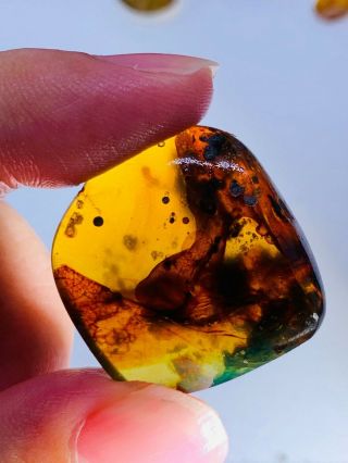 5.  13g plant&mineral Burmite Myanmar Burmese Amber insect fossil dinosaur age 2